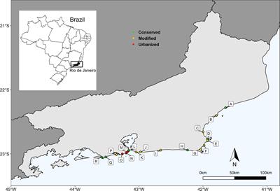 Local urbanization impacts sandy beach macrofauna communities over time